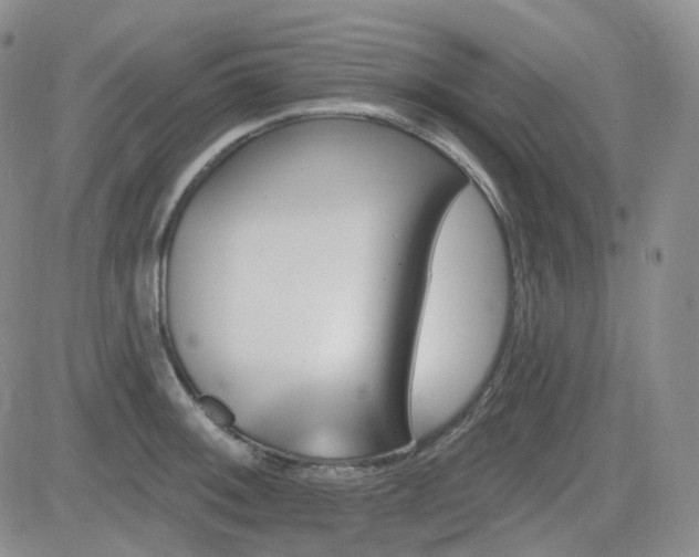 X0000084521092200702231128