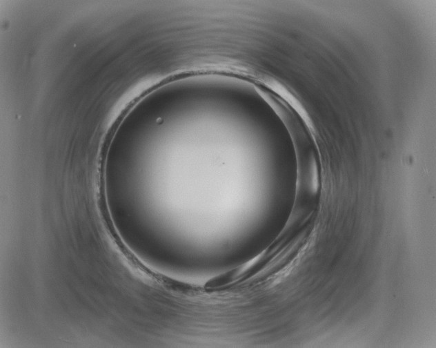 X0000084521093200702231128