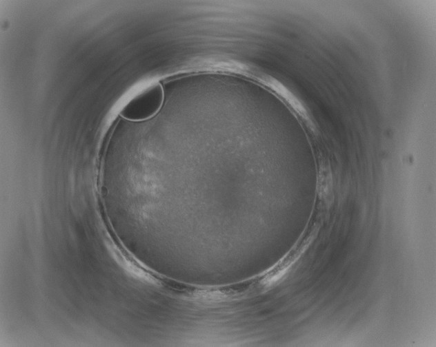 X0000084521094200702231128