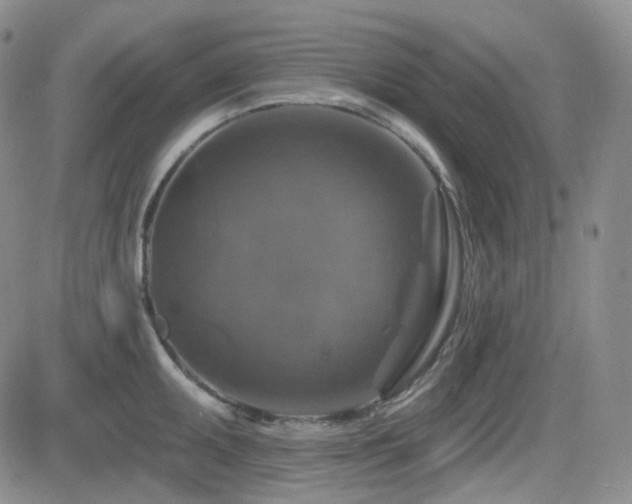 X0000084521095200702231128