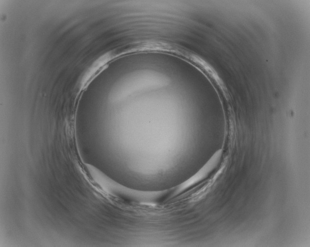 X0000084521097200702231128