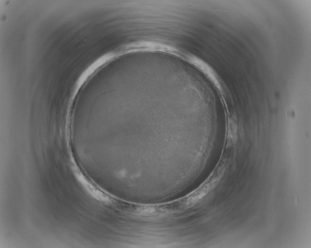 X0000084521098200702231128