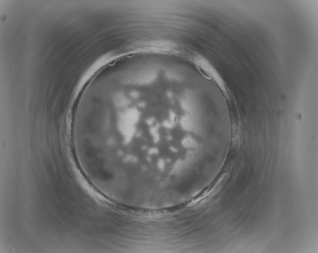 X0000084521099200702231128