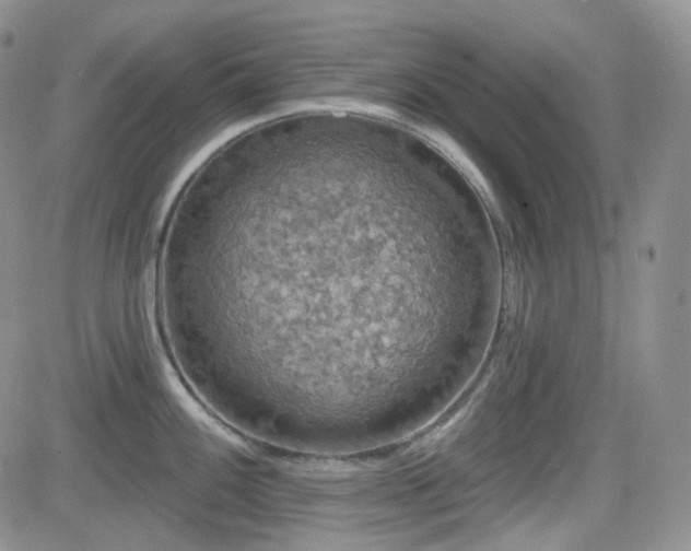 X0000084521100200702231128