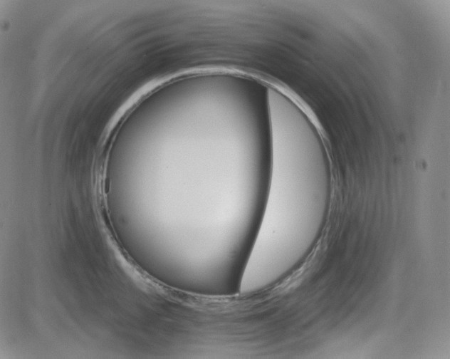 X0000084521101200702231128