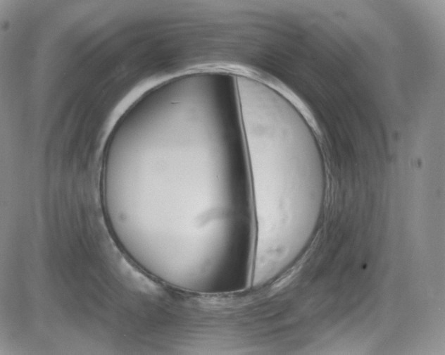 X0000084521102200702231128