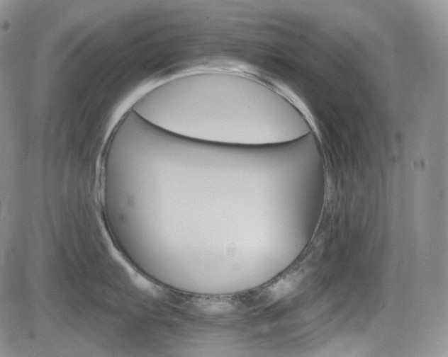 X0000084521103200702231128