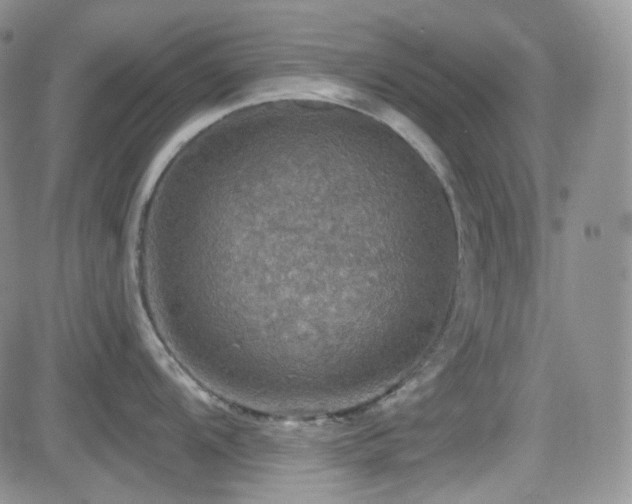 X0000084521104200702231128