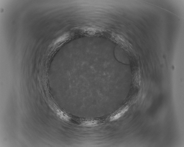 X0000084521105200702231127