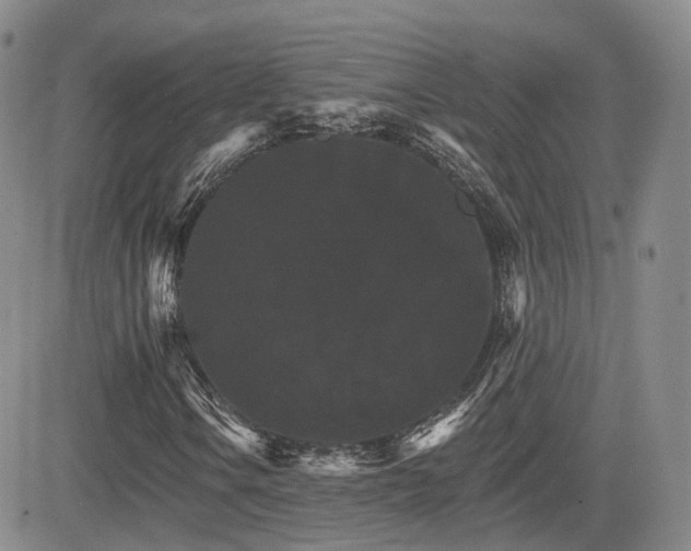 X0000084521106200702231127