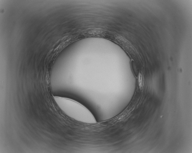 X0000084521107200702231127