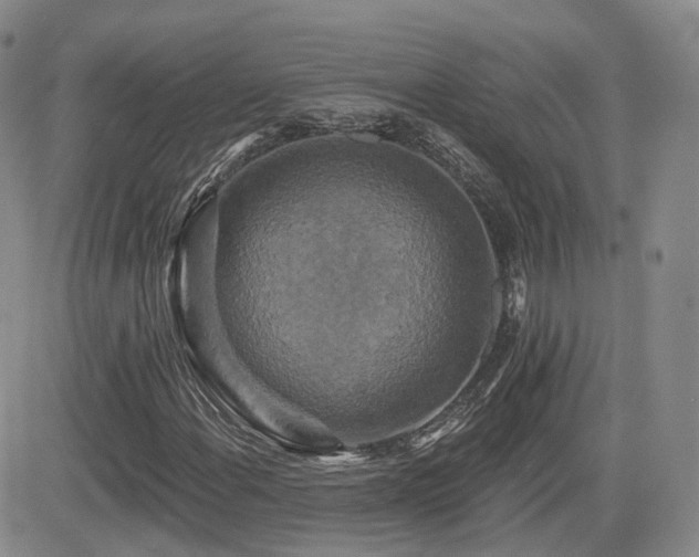 X0000084521108200702231127