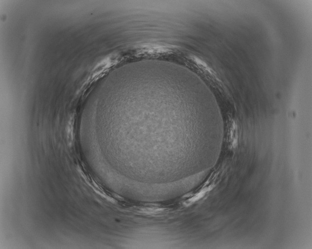 X0000084521109200702231127