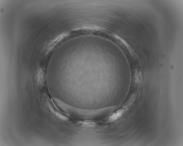 X0000084521110200702231127