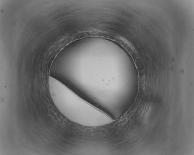 X0000084521111200702231127