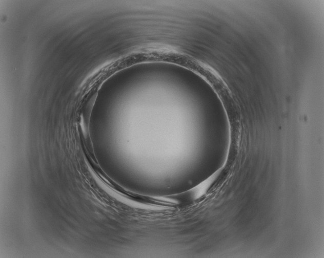 X0000084521112200702231127