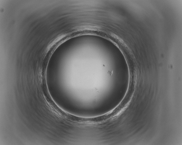 X0000084521113200702231127