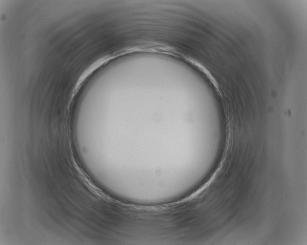 X0000084521114200702231127