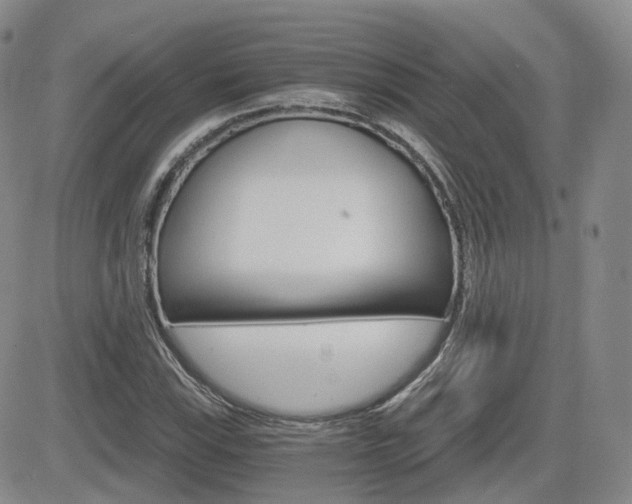 X0000084521115200702231127