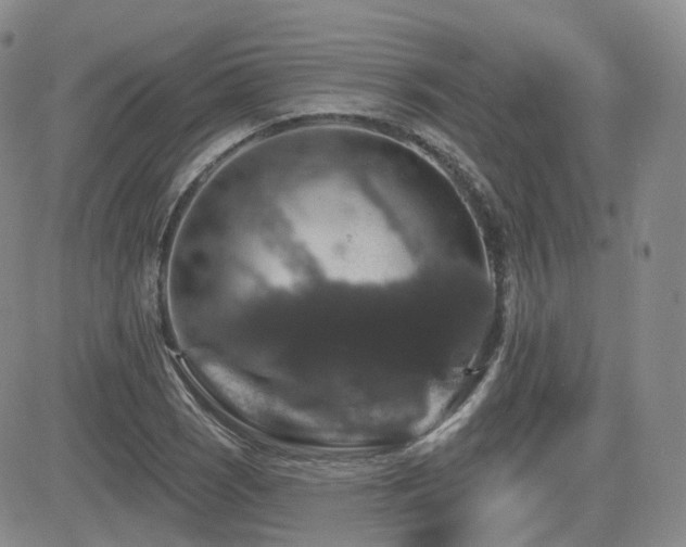 X0000084521121200702231127