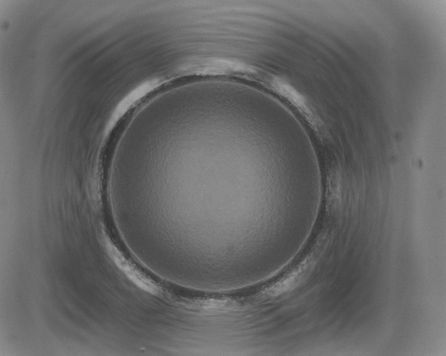 X0000084521122200702231127