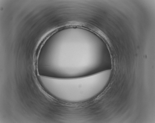 X0000084521124200702231128