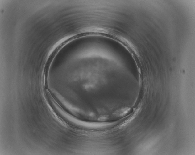 X0000084521125200702231128