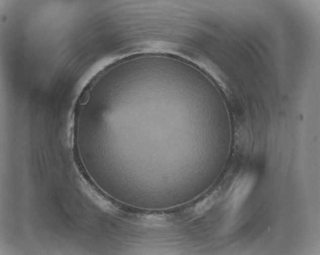 X0000084521126200702231128