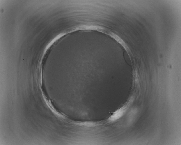 X0000084521127200702231128