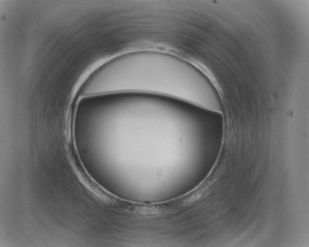 X0000084521128200702231128