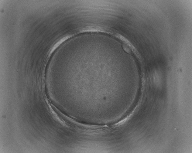 X0000084521129200702231128