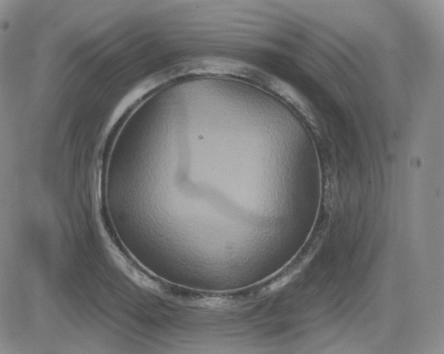 X0000084521130200702231128