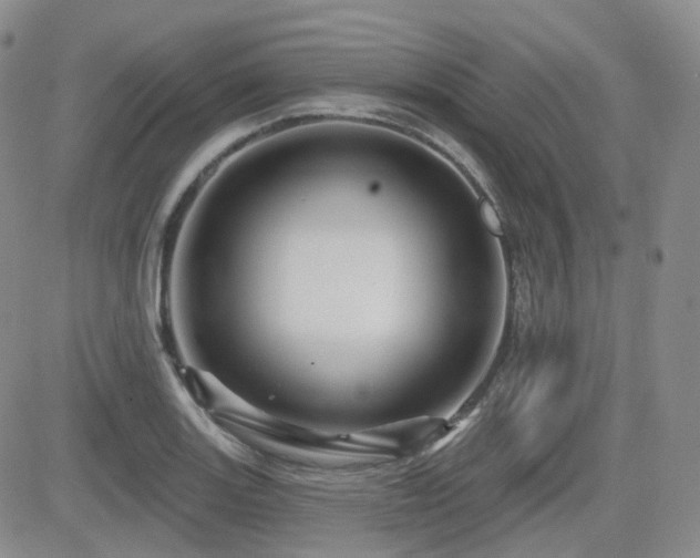 X0000084521131200702231128