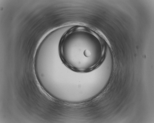 X0000084521132200702231128