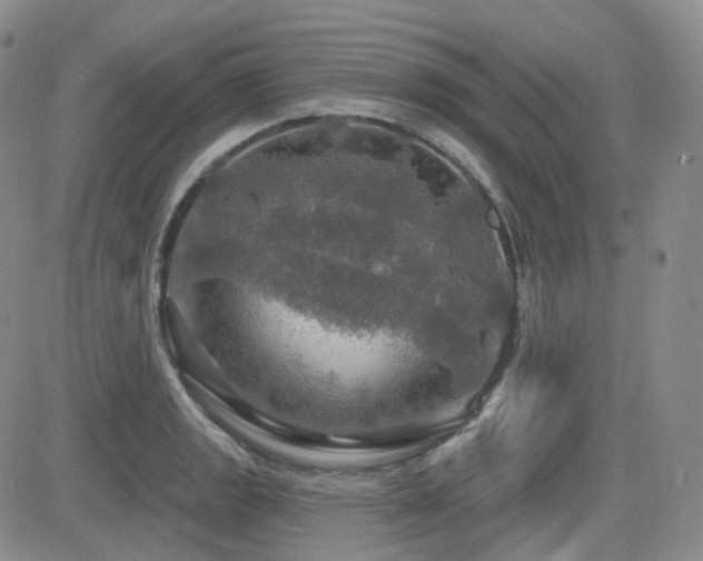 X0000084521133200702231128