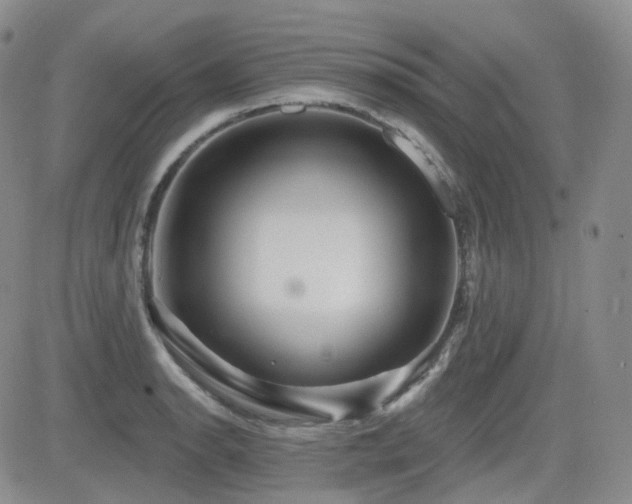 X0000084521134200702231128