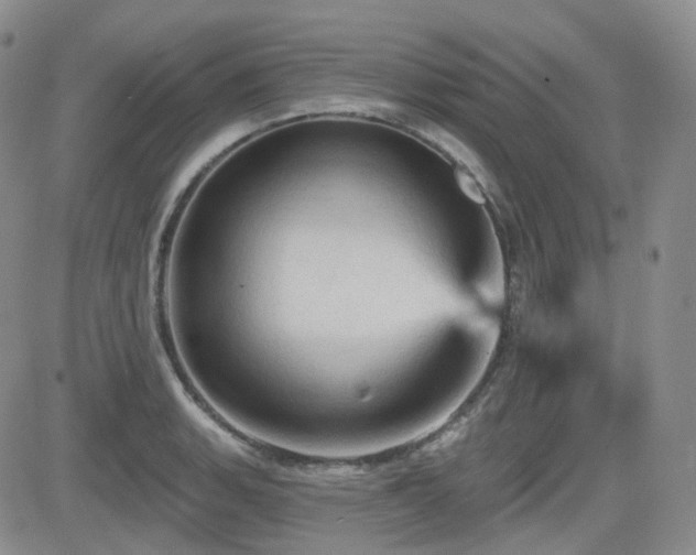 X0000084521135200702231128