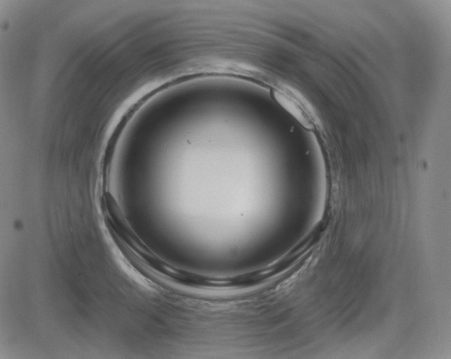 X0000084521136200702231128