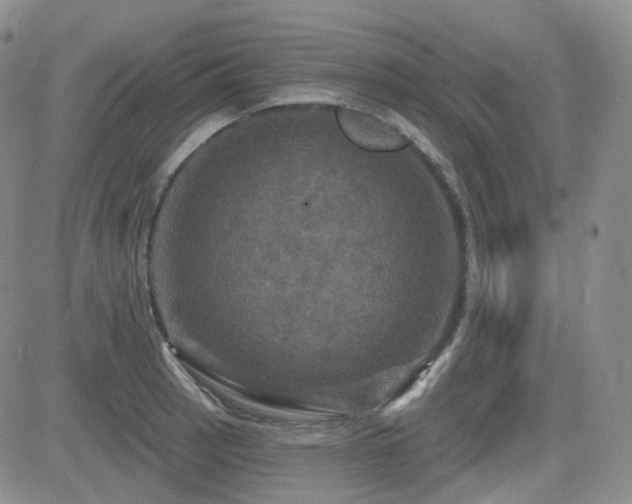 X0000084521137200702231128