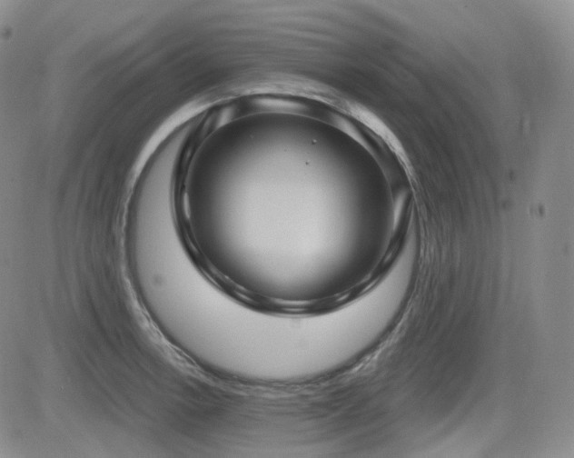 X0000084521138200702231128