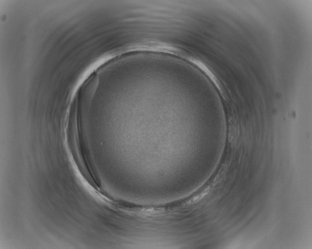 X0000084521139200702231128