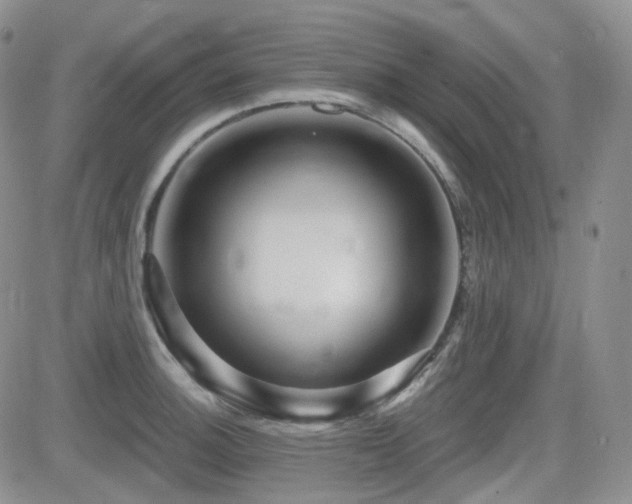 X0000084521140200702231128