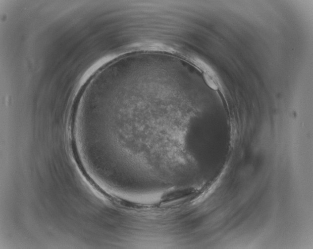 X0000084521141200702231128