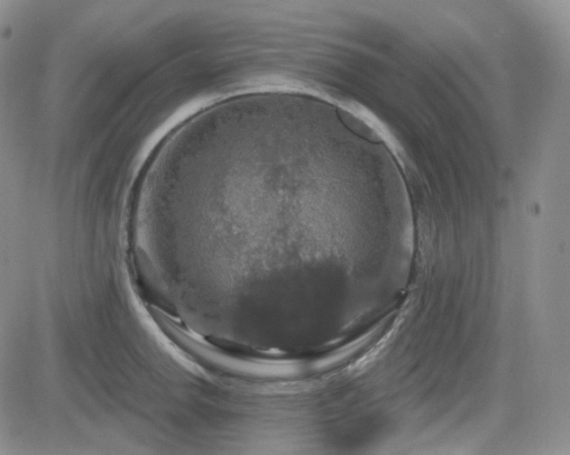 X0000084521142200702231128