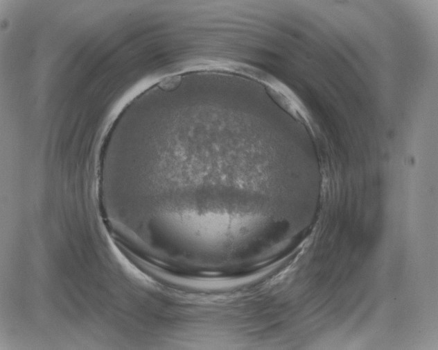 X0000084521143200702231128