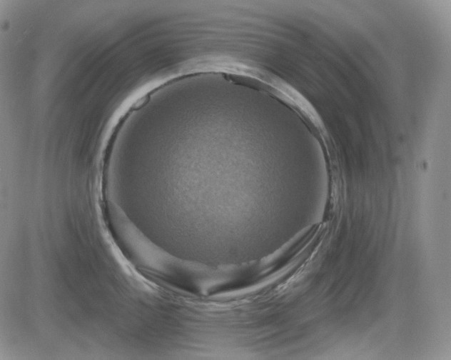 X0000084521144200702231128