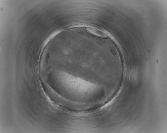 X0000084521145200702231128