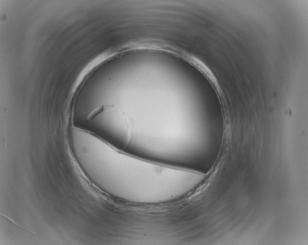 X0000084521146200702231128