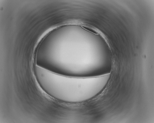 X0000084521147200702231128