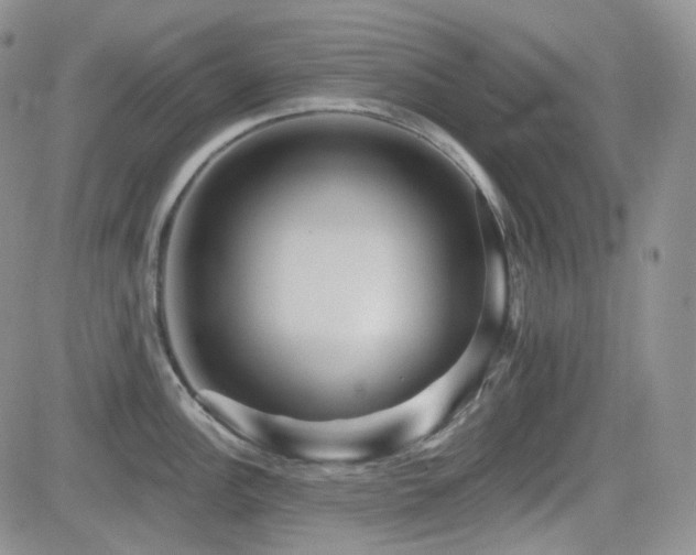 X0000084521148200702231128